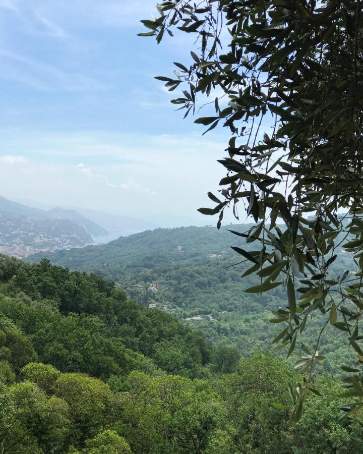 La Riviera Bed & Breakfast Bed & Breakfast Rapallo Exterior photo