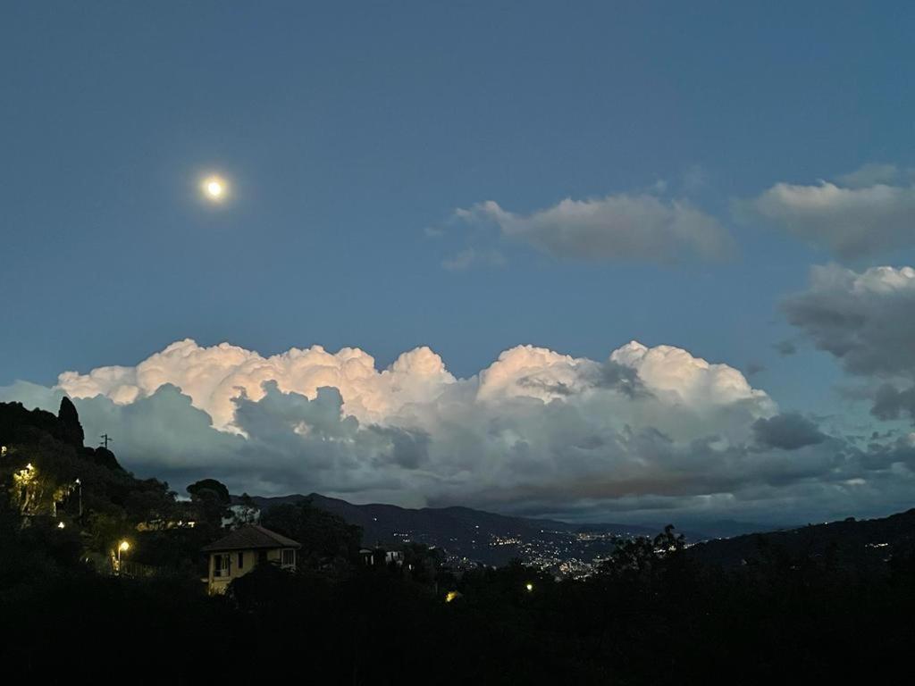 La Riviera Bed & Breakfast Bed & Breakfast Rapallo Exterior photo