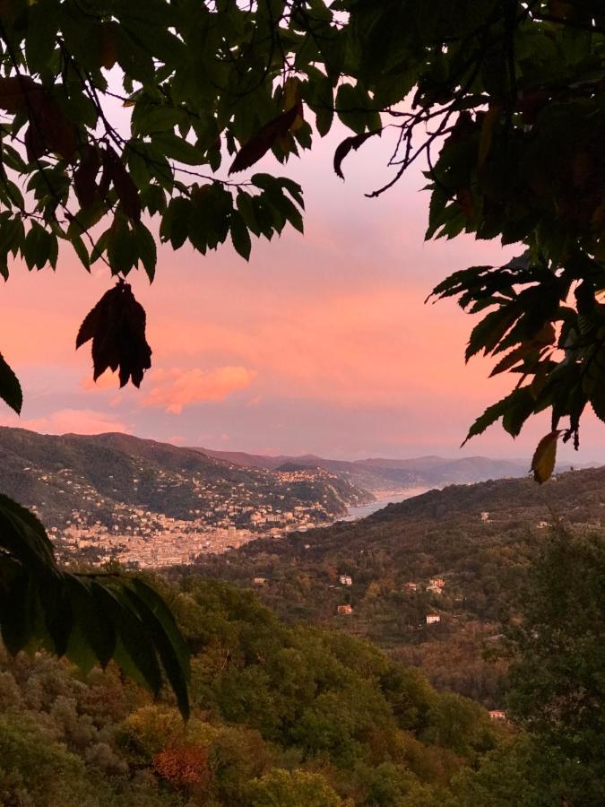 La Riviera Bed & Breakfast Bed & Breakfast Rapallo Exterior photo