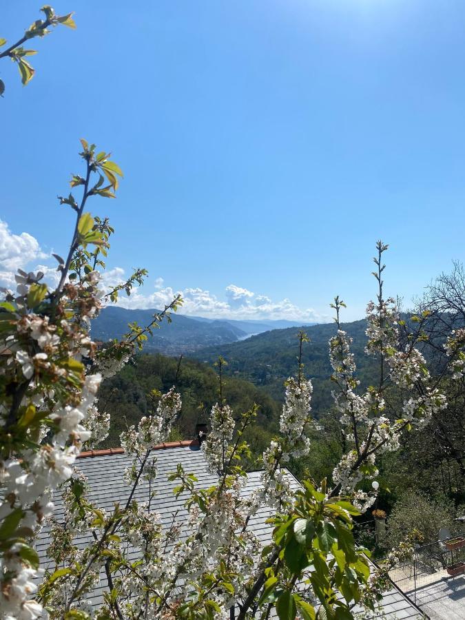 La Riviera Bed & Breakfast Bed & Breakfast Rapallo Exterior photo